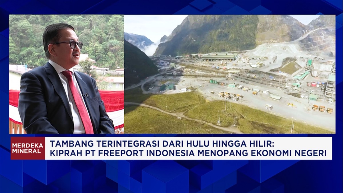 Video: Freeport Bakal Gali Tambang Kucing Liar, Investasi Rp72 Triliun