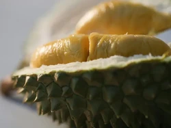 Gegara Bawa Durian, Pria Ini Ditolak Naik Bus dan Harus Jalan Kaki!