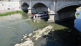 A tourist boat passes near an Ancient Roman bridge emerging from the Tiber River in central Rome on 13 August, 2026. The unusually low waters of the Tiber River have revealed the remains of an ancient Roman bridge believed to date back to the reign o