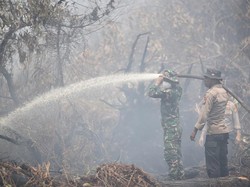 23 Hari Terbakar, Baru 81 dari 270 Hektare Lahan di Pelalawan Padam