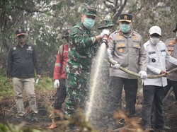 Cegah Api Meluas, Polda Riau-TNI Berjibaku Padamkan Karhutla di Pelalawan