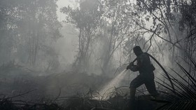 Personel TNI menyemprotkan air saat berupaya memadamkan kebakaran lahan gambut yang meluas di Desa Rimbo Panjang, Kecamatan Tambang, Kabupaten Kampar, Riau, Rabu (19/8/2026). Satgas darat dan udara karhutla Riau terus berupaya memadamkan kebakaran di