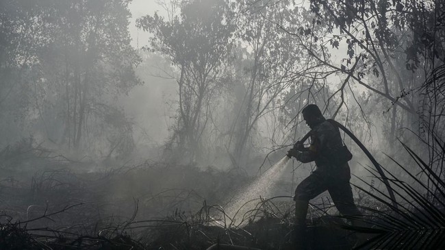 Personel TNI menyemprotkan air saat berupaya memadamkan kebakaran lahan gambut yang meluas di Desa Rimbo Panjang, Kecamatan Tambang, Kabupaten Kampar, Riau, Rabu (19/8/2026). Satgas darat dan udara karhutla Riau terus berupaya memadamkan kebakaran di