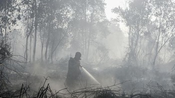 Petugas Manggala Agni Daops Pekanbaru menyemprotkan air saat berupaya memadamkan kebakaran lahan gambut yang meluas di Desa Rimbo Panjang, Kecamatan Tambang, Kabupaten Kampar, Riau, Rabu (19/8/2026). Satgas darat dan udara karhutla Riau terus berupay