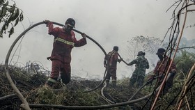 Kebakaran hutan di Gunung Arjuno-Welirang, Jatim kembali berkobar.