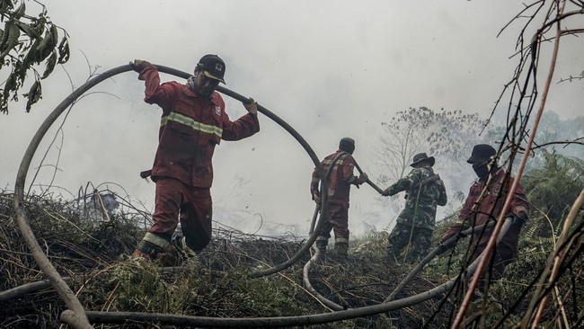 Petugas Manggala Agni Daops Pekanbaru dan personel TNI menarik selang saat berupaya memadamkan kebakaran lahan gambut yang meluas di Desa Rimbo Panjang, Kecamatan Tambang, Kabupaten Kampar, Riau, Rabu (19/8/2026). Satgas darat dan udara karhutla Riau
