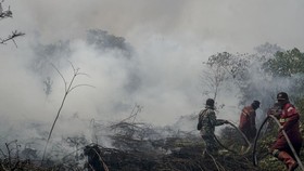 Petugas Manggala Agni Daops Pekanbaru dan personel TNI menarik selang saat berupaya memadamkan kebakaran lahan gambut yang meluas di Desa Rimbo Panjang, Kecamatan Tambang, Kabupaten Kampar, Riau, Rabu (19/8/2026). Satgas darat dan udara karhutla Riau