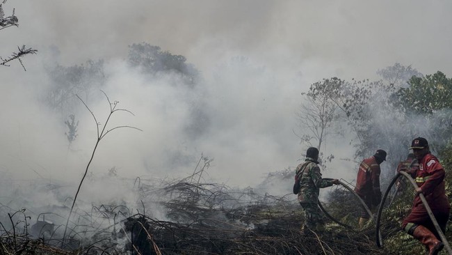 Petugas Manggala Agni Daops Pekanbaru dan personel TNI menarik selang saat berupaya memadamkan kebakaran lahan gambut yang meluas di Desa Rimbo Panjang, Kecamatan Tambang, Kabupaten Kampar, Riau, Rabu (19/8/2026). Satgas darat dan udara karhutla Riau