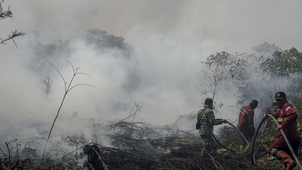 Anggota DPR Desak Tetapkan Karhutla Kalimantan Jadi Bencana Nasional