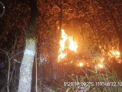 Gubernur Sulsel Andi Sudirman Ajak Warga Cegah Kebakaran Hutan dan Lahan