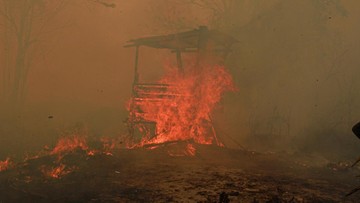 BMKG Deteksi Ribuan Titik Panas, Terbanyak di Kalimantan
