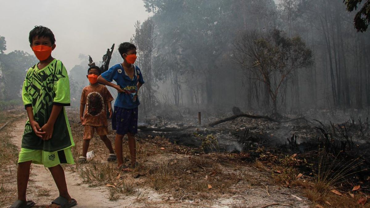 Karhutla Kalteng: 298 Kasus di Palangka Raya, Penerbangan Dibatalkan