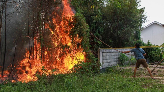 Warga berupaya memadamkan kebakaran lahan yang mendekati permukiman warga menggunakan kayu di Kelurahan Sabaru, Palangka Raya, Kalimantan Tengah, Sabtu (15/8/2026). Petugas gabungan bersama warga setempat memadamkan kebakaran lahan yang mendekati kaw