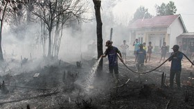 Petugas berupaya memadamkan kebakaran lahan yang mendekati permukiman warga di Kelurahan Sabaru, Palangka Raya, Kalimantan Tengah, Sabtu (15/8/2026). Petugas gabungan bersama warga setempat memadamkan kebakaran lahan yang mendekati kawasan permukiman