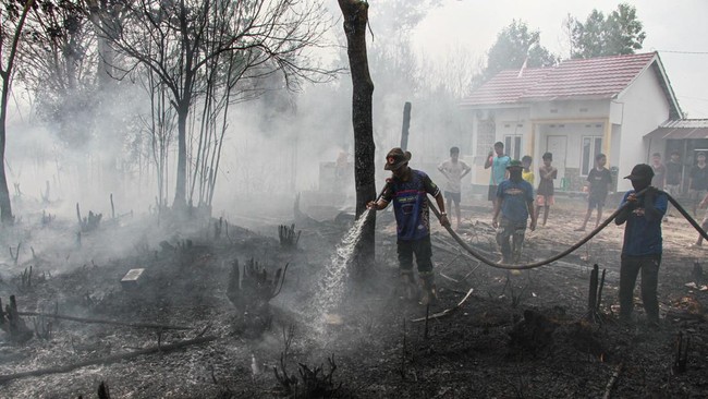 Kebakaran hutan di Kalimantan menyebabkan kabut asap pekat, mengancam kesehatan masyarakat. Kualitas udara di beberapa kota mencapai kategori berbahaya.