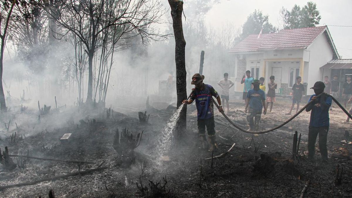 Asap Pekat dan Ribuan Titik Panas Karhutla Kepung Kalimantan