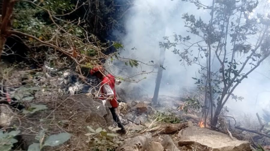 13 waktu setempat saat terbang dari Cagar Alam Loisaba ke wilayah Ewasonyiro, distrik