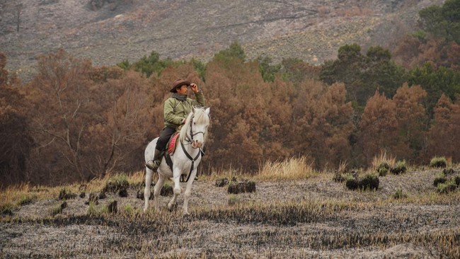 Pembukaan Kembali Wisata Gunung Bromo Pascakebakaran