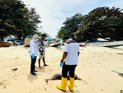 Koridor Mamalia Laut di Perairan Balikpapan Terancam Aktivitas Industri