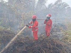 Luasan Karhutla di Muara Medak Muba Capai 115 Hektare
