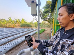 Canggih! Pleret Bantul Bikin Pertanian Modern, Siram-Pupuk Tanaman Dibantu AI