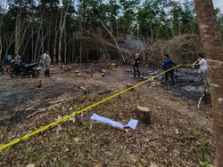 Petani di Banyuasin Diamankan Usai Buka Lahan dengan Cara Dibakar