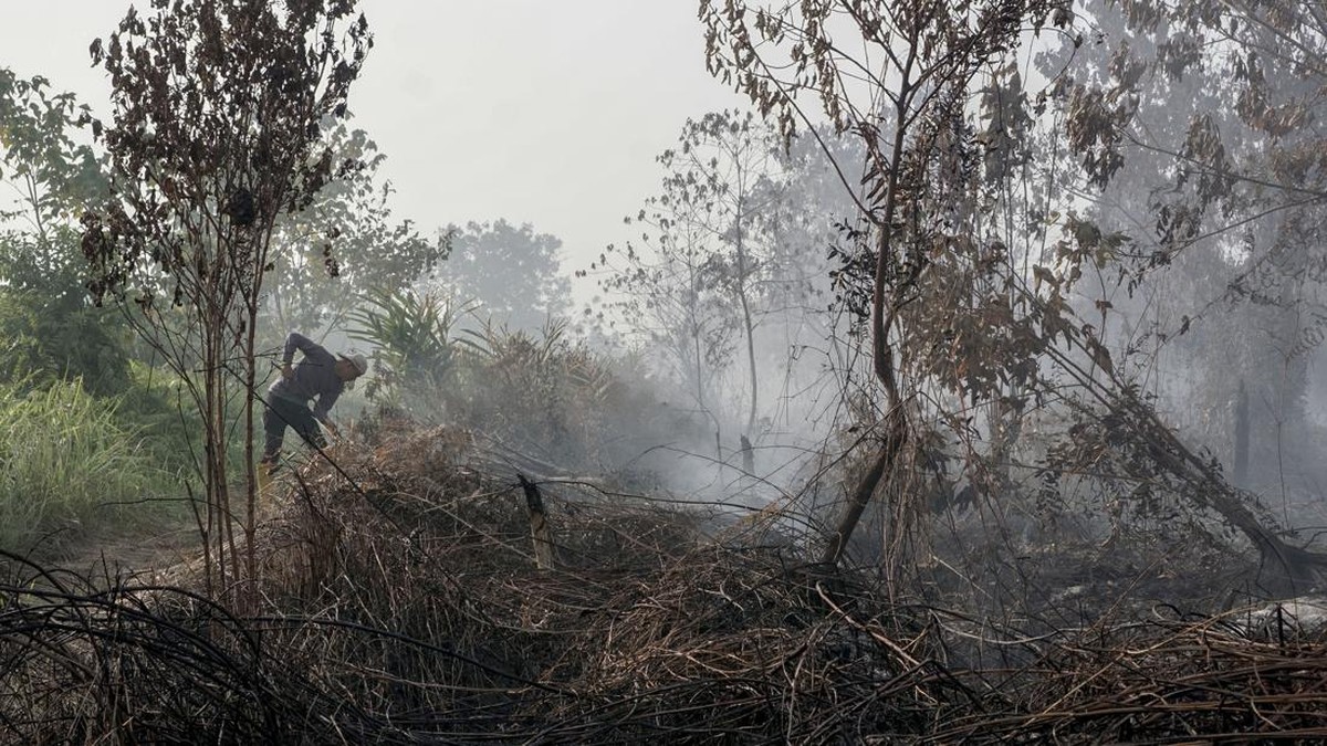 Warga berusaha memadamkan api yang membakar semak belukar saat terjadi kebakaran lahan gambut di Desa Rimbo Panjang, Kecamatan Tambang, Kabupaten Kampar, Riau, Selasa (18/8/2026). Satgas darat dan udara karhutla Riau terus berupaya memadamkan kebakar