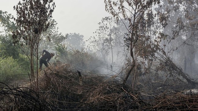 Warga berusaha memadamkan api yang membakar semak belukar saat terjadi kebakaran lahan gambut di Desa Rimbo Panjang, Kecamatan Tambang, Kabupaten Kampar, Riau, Selasa (18/8/2026). Satgas darat dan udara karhutla Riau terus berupaya memadamkan kebakar