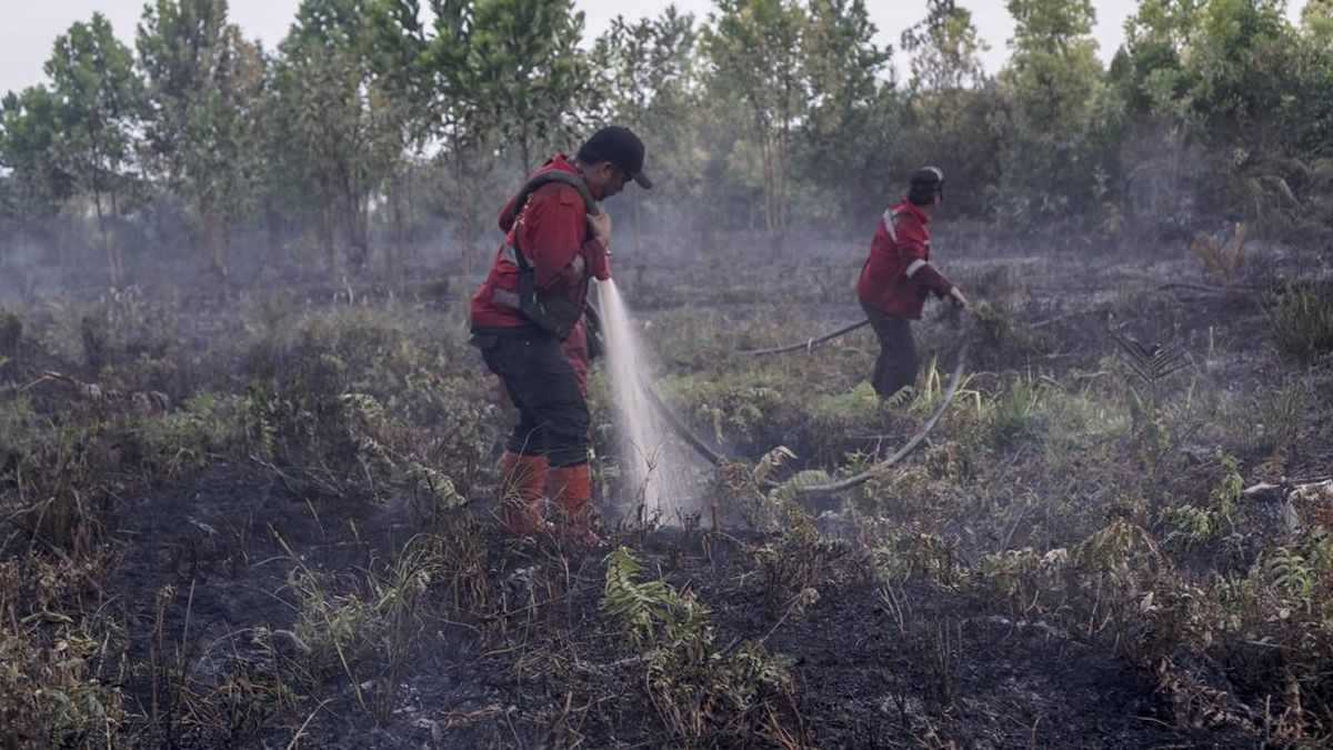 Kementerian PU Kerahkan Puluhan Pompa Tangani Karhutla Kalbar