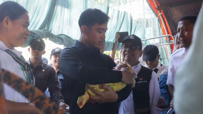 Wakil Presiden Gibran Rakabuming Raka (tengah) didampingi Menteri Koordinator Bidang Pembangunan Manusia dan Kebudayaan Pratikno (ketiga kanan) dan Bupati Sikka Juventus Prima Yoris Kago (kanan) menggendong salah satu bayi yang dirawat di tenda darur