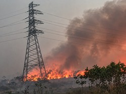 Api Karhutla Mengganas, Rumah Warga hingga Gardu PLN di Lamandau Terancam