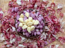 3 Trik Simpan Bawang Kupas agar Tetap Segar dan Tak Bau ke Mana-mana