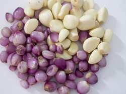 Bawang Sudah Dikupas? Ini 3 Trik Agar Tetap Segar dan Tak Bau