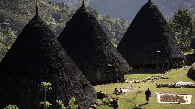 Desa Wisata Wae Rebo Ditutup Sementara Pascagempa NTT