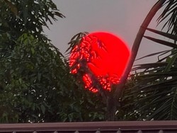 Alasan Matahari Jadi Merah Saat Karhutla Menurut Pakar