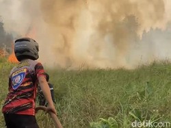 Satu Pelaku Pembakaran Lahan Pribadi di Kalsel Diamankan