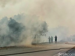 Keluh Kesah Warga Kalsel Tiap Tahun Terpapar Kabut Asap Karhutla