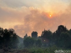 Jumlah Hotspot Karhutla Kalsel Tembus 8.764 dari 1.651 Total Kejadian