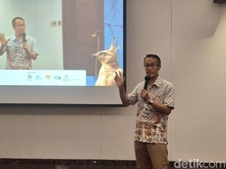 Elang Jawa Terancam Punah, Diburu dan Dijual Online hingga Rp 5 Juta