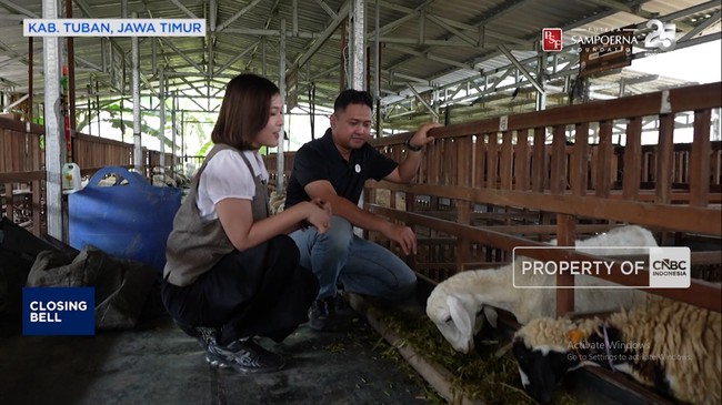 Video: Kiprah Anak Muda Memajukan Ekonomi Lewat Modernisasi Peternakan