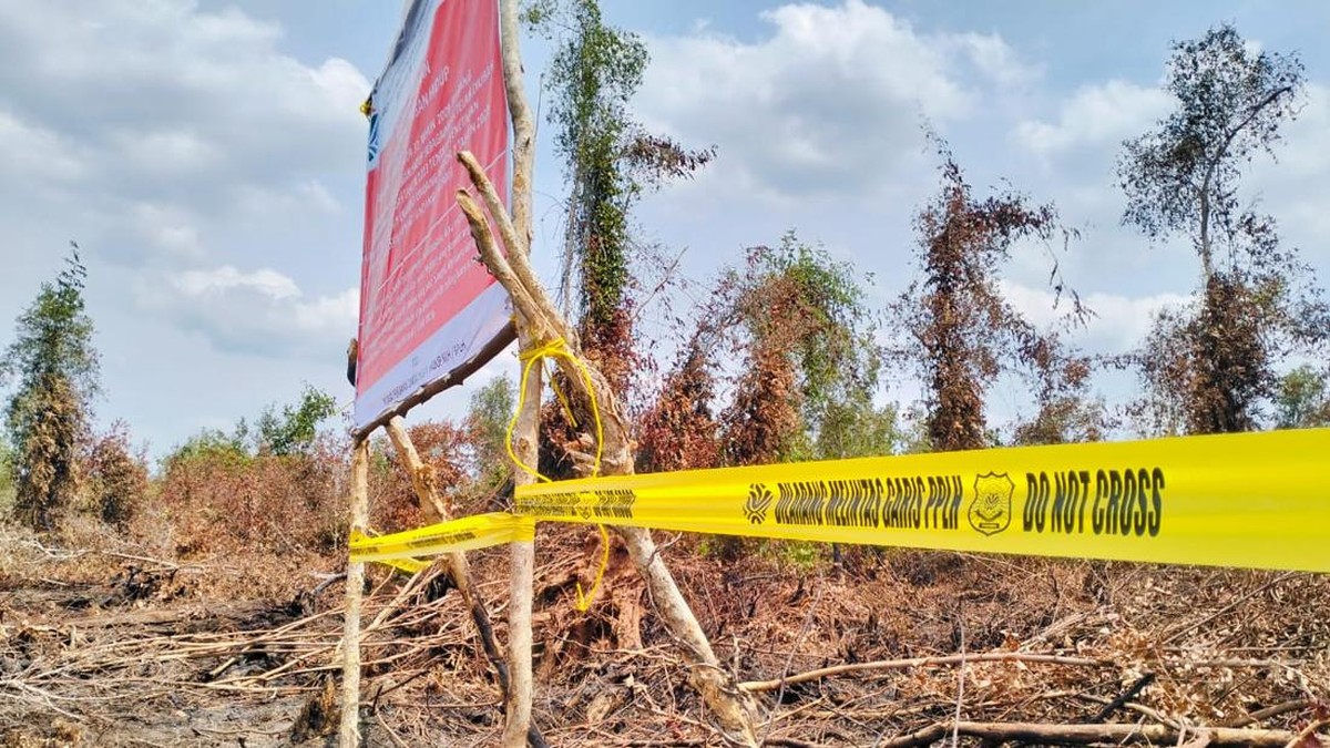 Konsesi Perusahaan Sawit Disegel-Garis Kuning Efek Kebakaran Berulang