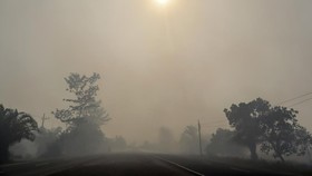 Trees are silhouetted on a haze-shrouded road in Palangkaraya city, central Kalimantan on August 20, 2026, as smoke originating from widespread forest and land fires has significantly reduced visibility and degraded air quality across the province. I