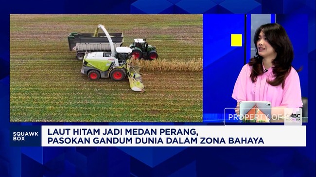 Video: Pasokan Gandum Murah Terganggu Perang, Harga Mie Cs Bakal Naik?