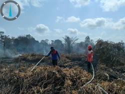 Nestapa Warga Kalimantan di Bulan Kemerdekaan: Karhutla-Kekeringan