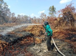 3.759 Hotspot Terdeteksi di Kalbar, Hampir Separuhnya di Ketapang
