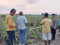 Petani Lansia di Sidoarjo Ditemukan Tewas Hangus Usai Bakar Sampah