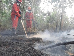 Tangani Karhutla Kalimantan, Pemerintah Modifikasi Cuaca-Tambah Pesawat