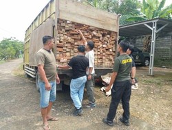 Kemenhut Amankan Truk Angkut Kayu Ilegal di Jambi, Pemasok-Penerima Ditelusuri