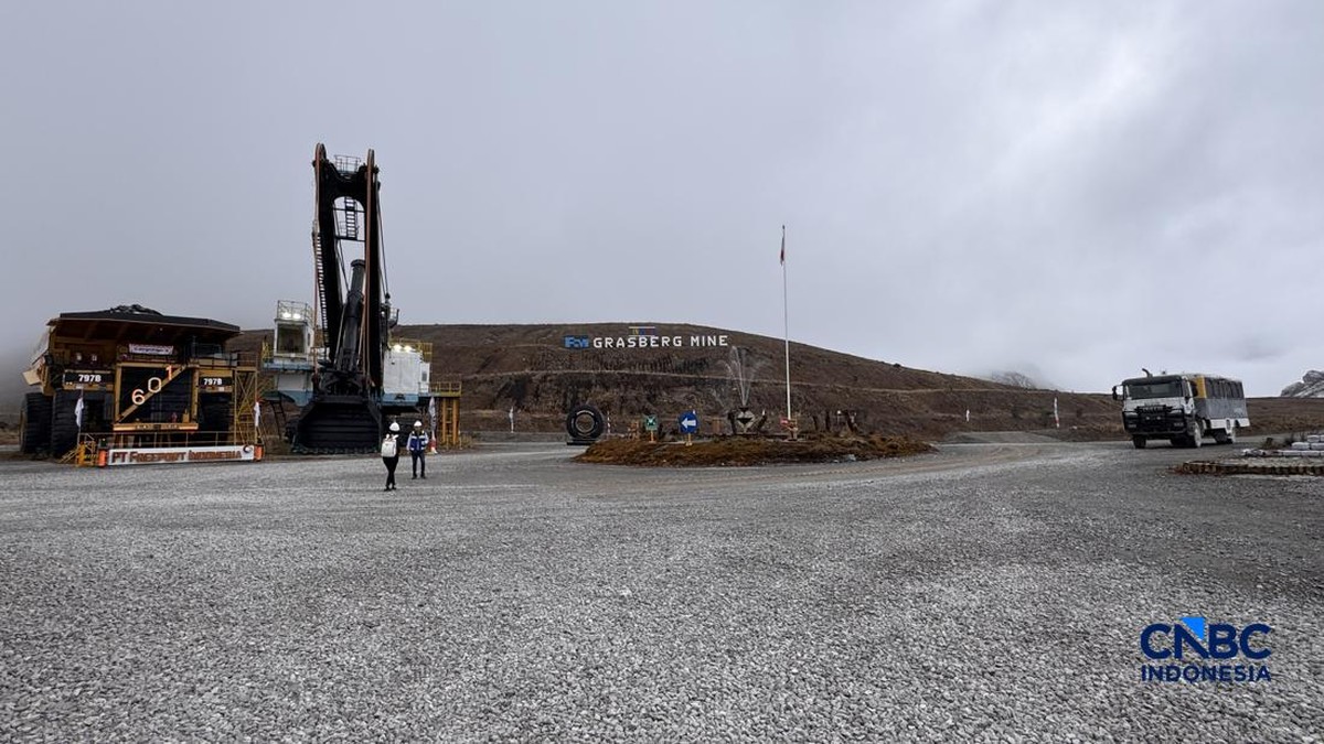 Freeport Habiskan Rp25 T Demi Kucing Liar