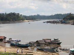 Pemandangan Tak Biasa Kala Sungai Barito di Kalimantan Mengering